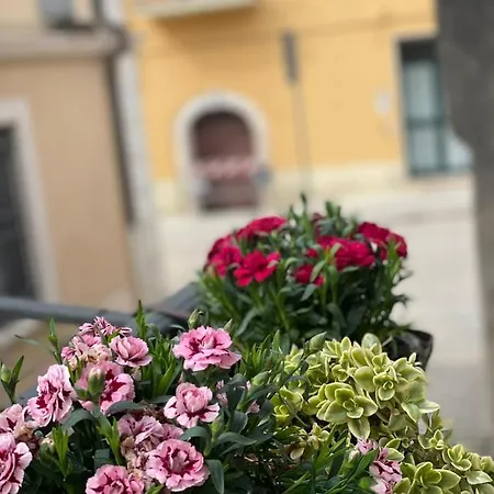 Oasi Della Pace Pietrelcina