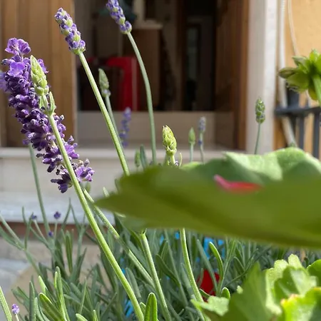 Vakantiehuis Oasi Della Pace Pietrelcina